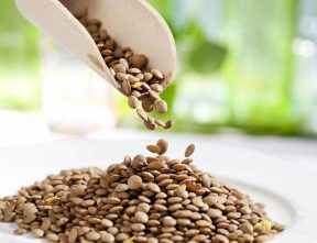آذربایجان شرقی رتبه نخست تولید عدس را در کشور دارد