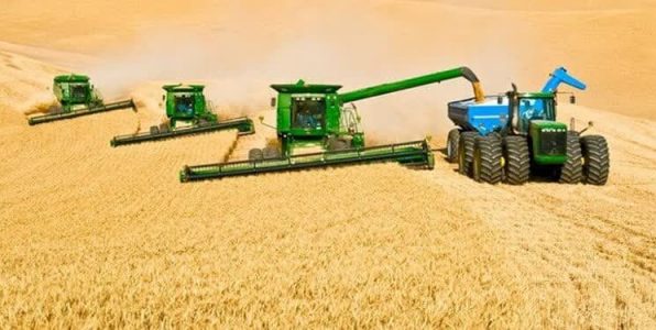 ۲۲۴هزار تن گندم در آذربایجان شرقی خرید تضمینی شد
