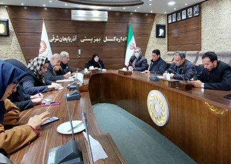 ۵۳ درصد معلولین استان، معلولیت شدید دارند/آذربایجان شرقی نیازمند ساخت مرکز جدید سالمندان نیست