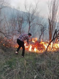 آتش سوزی در حاشیه رود ارس روستای تاتار سفلی بطور کامل اطفاء شد