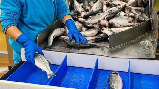 حاشیه رودخانه ارس یکی از قطبهای تولید و پرورش ماهیان خاویاری در کشور