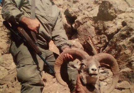 هشدار محیط زیست آذربایجان‌شرقی به شکارچیان حیات وحش