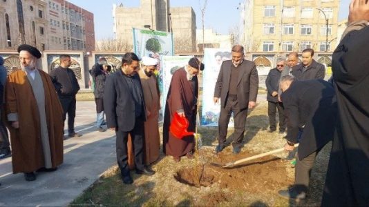 سازمان های ذیربط مانع خشک شدن و قطع درختان شوند