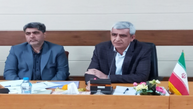 اختصاص ۶ میلیارد تومان اعتبار برای تامین ویلچر توان خواهان