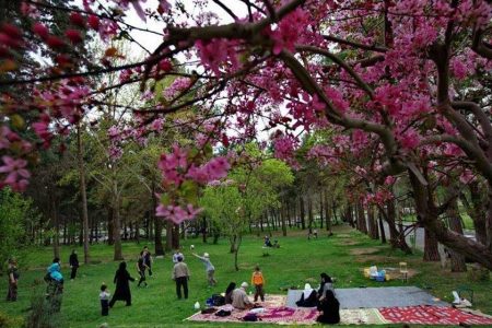 تصمیمی برای تعطیلی بوستان‌ها در روز ۱۳ فروردین نگرفته شده است