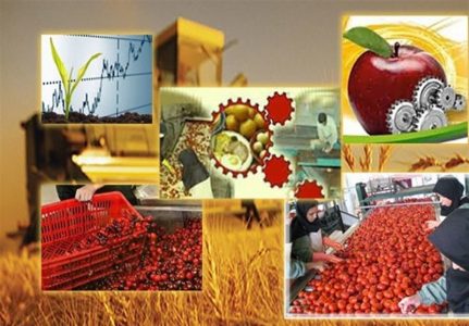 فعالیت ۸۰۰ واحد صنایع تبدیلی کشاورزی در آذربایجان‌شرقی