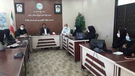 صادرات ۲۴۷۳ تن محصولات کشاورزی در مهر ماه از مرز های نوردوز و جلفا