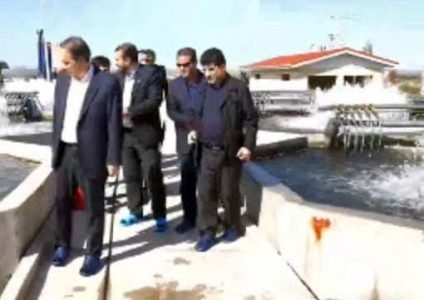 تلاش برای برقراری زنجیره تولید در مجتمع کشت و صنعت خداآفرین