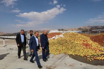سیب باغداران نباید به ضایعات تبدیل شود
