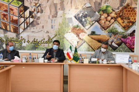 حدود ۶۰ درصد تولیدات کشاورزی استان آذربایجان شرقی مربوط به حوزه زراعت است