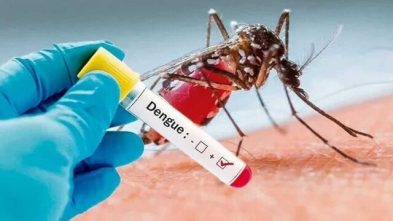 موارد مثبتی از تب دنگی فعلا در آذربایجان شرقی شناسایی نشده است