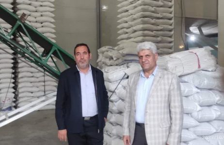 آذرشهر قطب فرآوری و تامین لپه کشور