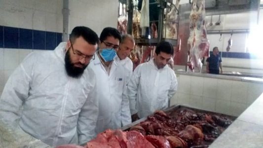 تولید سالانه حدود ۳۷ هزار تن گوشت دام سبک و سنگین در استان آذربایجان شرقی
