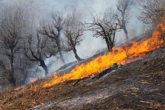 وقوع ۴۴ مورد آتش سوزی ثبت شده در مراتع آذربایجان شرقی