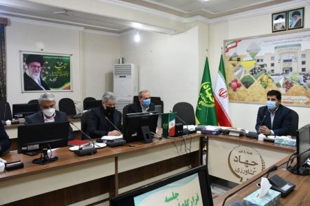 افزایش تولید مرغ در استان در دو قالب افزایش ظرفیت واحد و افزایش تعداد در واحد سطح