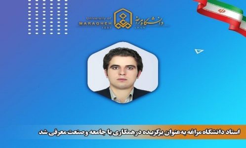 معرفی استاد دانشگاه مراغه به عنوان برگزیده جامعه و صنعت در کشور