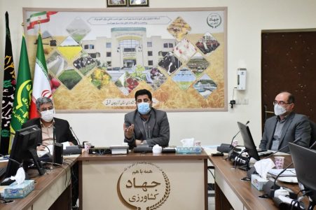 کشاورزی قراردادی می تواند برنامه ریزی برای تولید را منسجم و دقیق تر کند