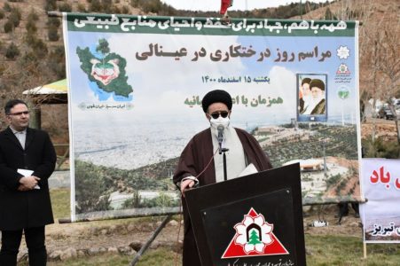 برخورد قاطع با متخلفان و عاملین قطع درختان در استان صورت گیرد