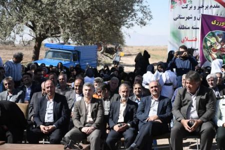 برداشت سالانه یک هزار و ۴۰۰ تن پسته در آذربایجان شرقی