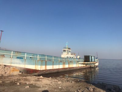 کالبد شکافی  یک قتل