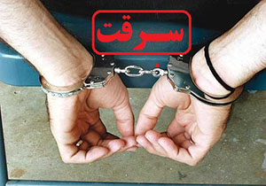 دستگیری دو باند سرقت در تبریز