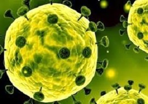 سراب، شبستر، مرند، میانه، مراغه، اهر و تبریز بیشترین مبتلایان کرونا را دارند