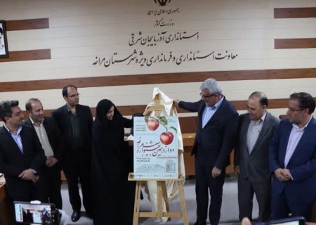 سیب مراغه محصولی با ۱۰۰ هزار میلیارد ریال گردش مالی