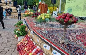 عکس تانیش نیوز/ گزارش تصویری دوازدهمین جشنواره سیب مراغه با محوریت اقتصاد، گردشگری و صادرات