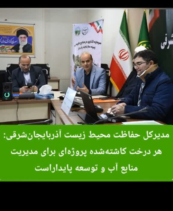 هر درخت کاشته‌شده پروژه‌ای برای مدیریت منابع آب و توسعه پایدار است