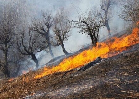 وقوع ۴۴ مورد آتش سوزی ثبت شده در مراتع آذربایجان شرقی