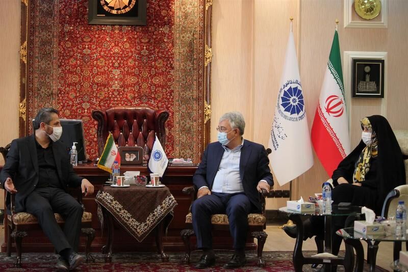 باید جلوی سنگ اندازی ها به بخش خصوصی را گرفت
