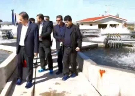 تلاش برای برقراری زنجیره تولید در مجتمع کشت و صنعت خداآفرین