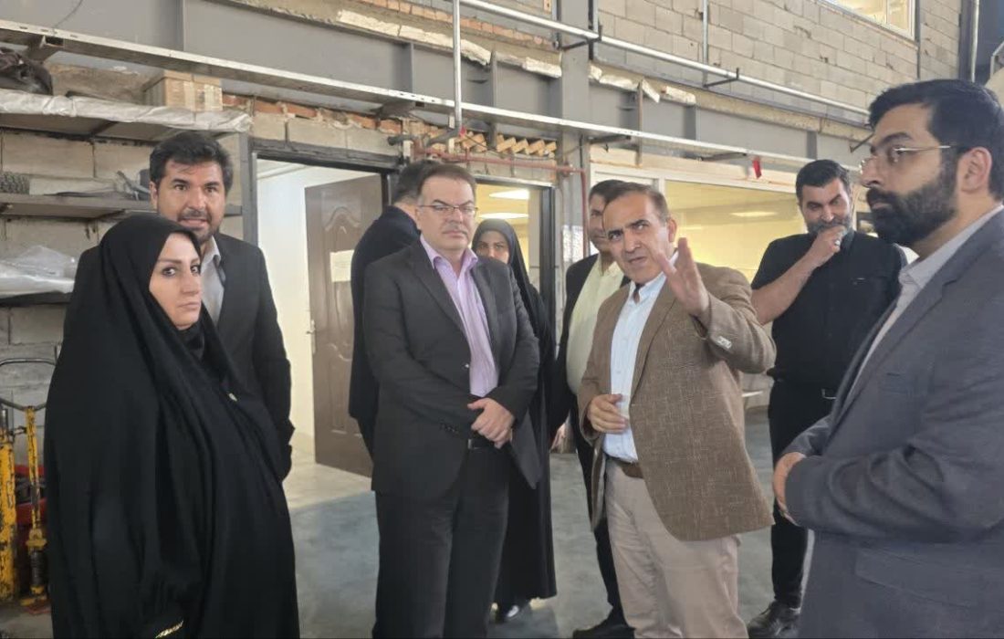 بازدید معاون وزیر نفت از شرکت دانش‌بنیان «رهروان صنعت و انرژی آسیا» در تبریز