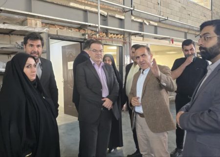 بازدید معاون وزیر نفت از شرکت دانش‌بنیان «رهروان صنعت و انرژی آسیا» در تبریز