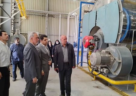 بازدید مدیرکل گمرک جلفا از بزرگترین کارخانه کاغذ سازی مناطق آزاد ایران