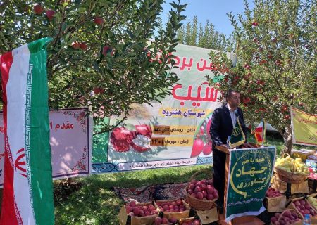 جشن برداشت سیب در دهستان آتش بیگ شهرستان هشترود برگزار شد