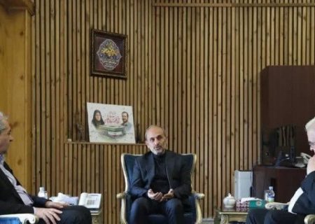 برنامه‌های مستند برای کنگره بین المللی بزرگداشت استاد شهریار تهیه شود