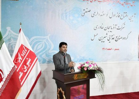 به ازای هر ایرانی ۰٫۷۵ دام سبک در کشور وجود دارد