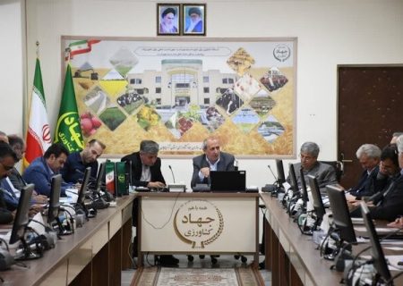 بودجه طرح های کاهش مصرف در بخش کشاورزی تخصیص نمی یابد