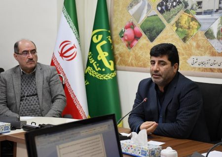بحث تغذیه مناسب باید همانند طرح جهش تولید در دیمزارها در اراضی آبی نیز صورت گیرد
