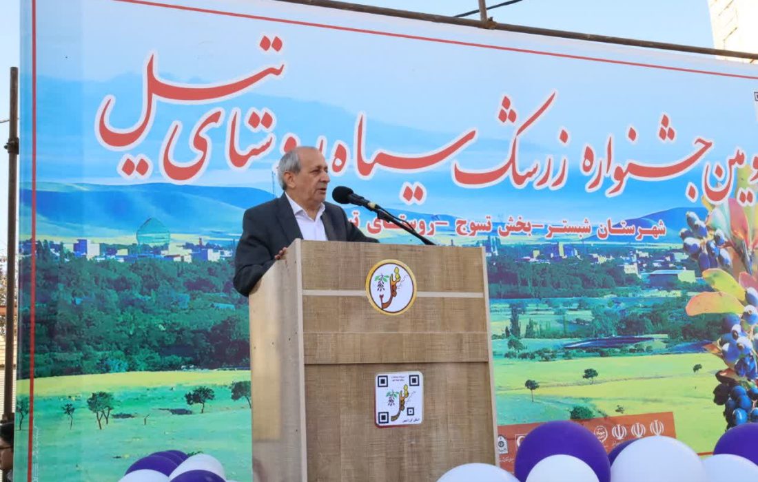 جشنواره زرشک سیاه تیل فرصتی برای معرفی این محصول