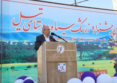 جشنواره زرشک سیاه تیل فرصتی برای معرفی این محصول