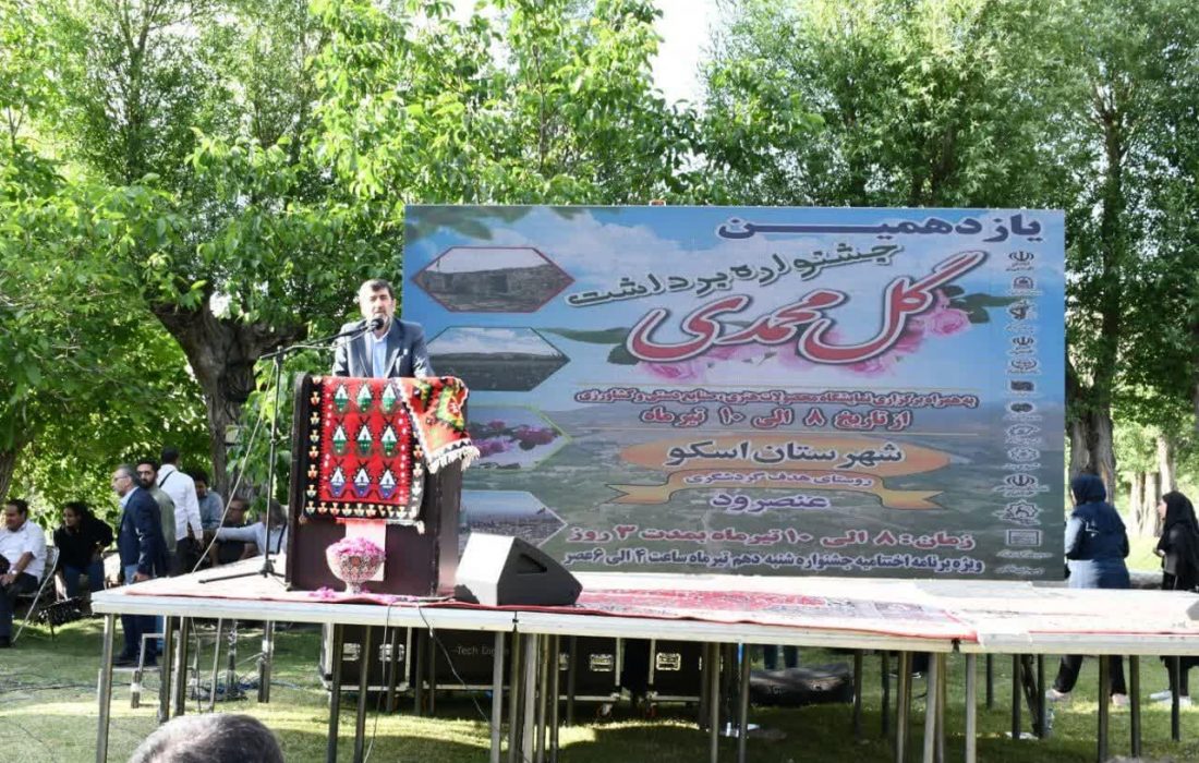 تولید ۸۵ درصد گل محمدی دنیا در ایران