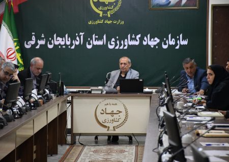 ضرورت اصلاح سهمیه سوخت چاه‌ها و تکمیل مطالعات خاک برای مدیریت پایدار منابع آب و خاک