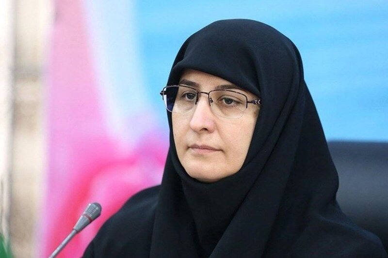 هدف «بسندگی زبان فارسی» حفظ هویت کودکان دوزبانه بود/برخی نااگاهانه به طرح بسندگی دانش آموزان دامن زدند