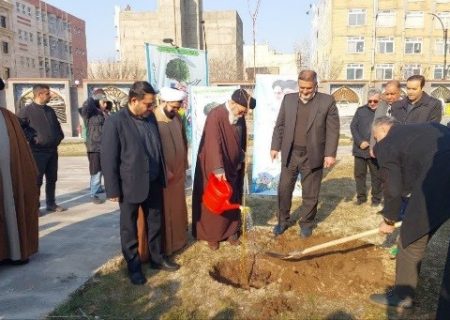 سازمان های ذیربط مانع خشک شدن و قطع درختان شوند