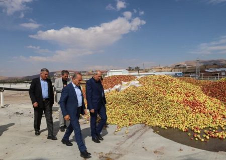 سیب باغداران نباید به ضایعات تبدیل شود
