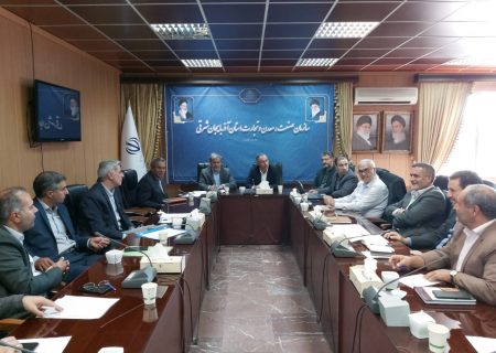 رونق تولید در بخش معادن یکی از اولویت‌های مهم سازمان صمت