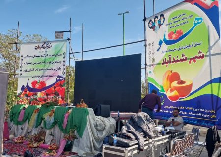 تولید ۵۰ هزار تن هلو در باغات آذربایجان شرقی