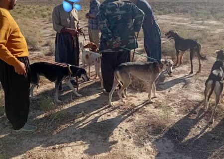 شکارچیان غیرمجاز پیش از شکار در صوفیان به دام قانون افتادند